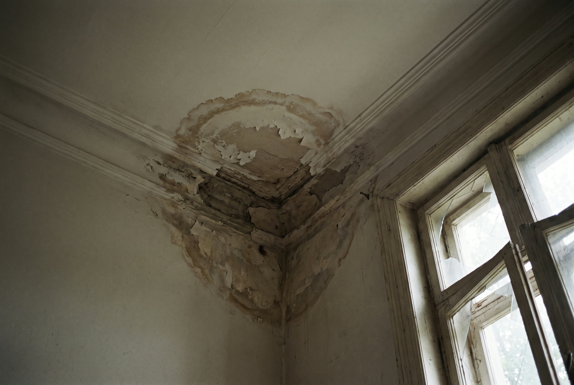 Water stain on a ceiling under a terrace, illustration